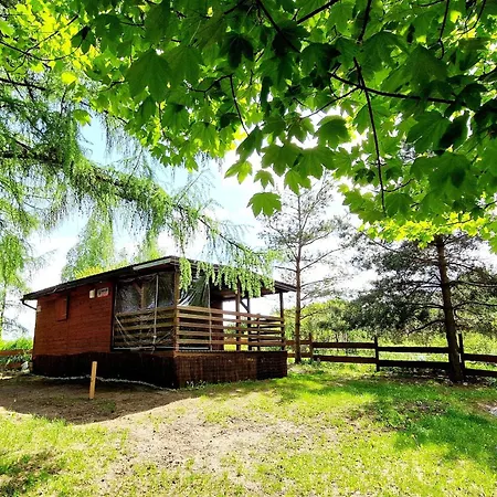 Letniskowy - Warmia I Mazury